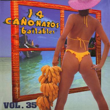 14 Cañonazos Bailables, Vol. 35