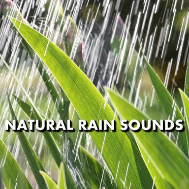Extraordinary Meditation Rain Sounds