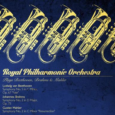 Symphony No. 2 in D Major, Op. 73: I. Allegro non troppo
