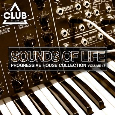 Your Body - Chris Sammarco Bootleg Mix