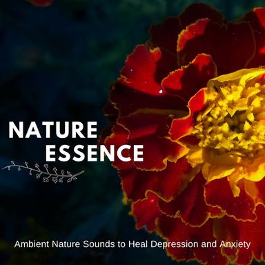 Trilling Heal - Original Mix