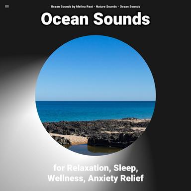 Beach Sounds for Studying