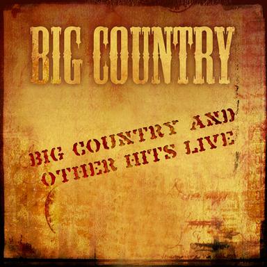 In a Big Country - Live