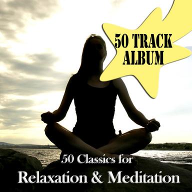 Symphony No. 5 in B flat Major D485: Andante con moto