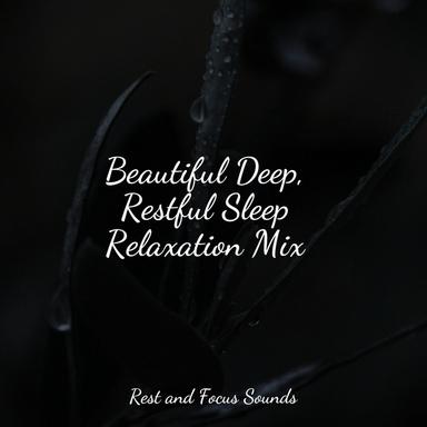 Tropical Tranquility