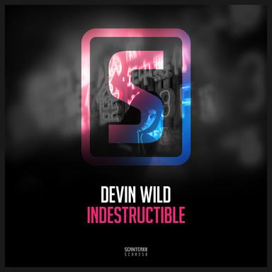 Indestructible - Radio Edit