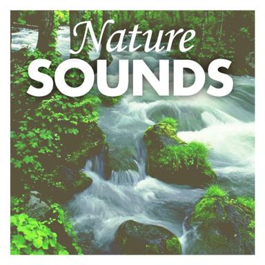 Relaxing Rain and Thunderstorm