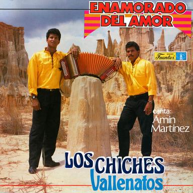 Lloró Un Amor