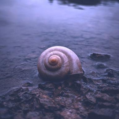 Sueños a La Deriva