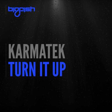 Turn It Up - Original Mix