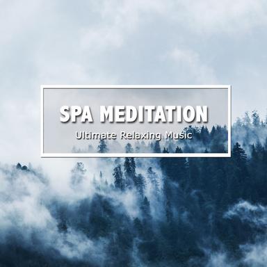 Body Healing Binaural Beats
