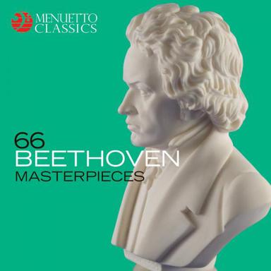 Symphony No. 9 in D Minor, Op. 125 "Choral": II. Molto vivace