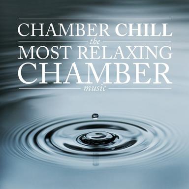 String Quartet No. 10 in E-Flat Major, D. 87: III. Adagio