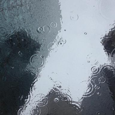 Rain and Seagulls