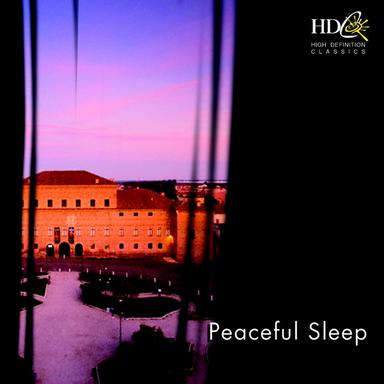 Piano Concerto No. 2, in B flat major, Op. 83: III. Andante