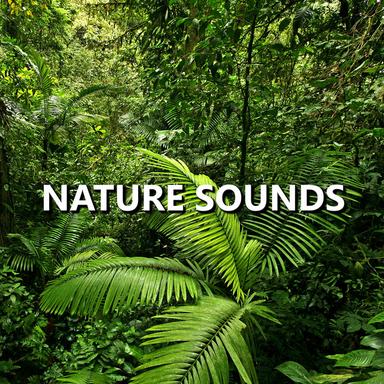 Nature Recording