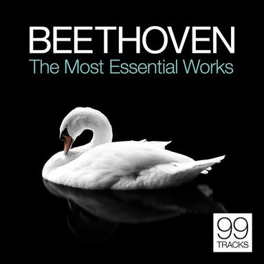 Quintet in E-Flat Major for Piano, Oboe, Clarinet, Horn and Bassoon, Op. 16: I. Grave - Allegro ma non troppo