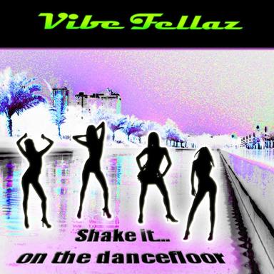 Shake It On The Dance Floor - Original Edit