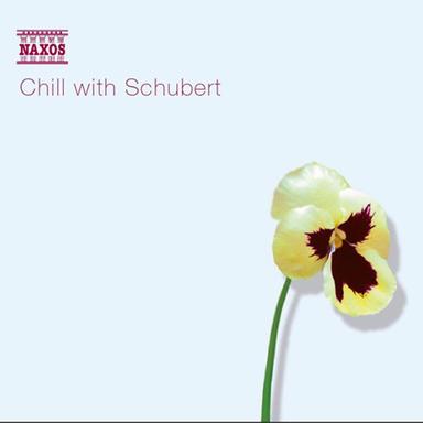 Wiegenlied (Cradle Song), D. 948 (Arr. for Orchestra)