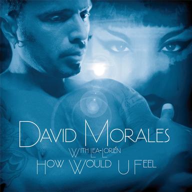 How Would U Feel - Peter Rauhofer Reconstruction Mix