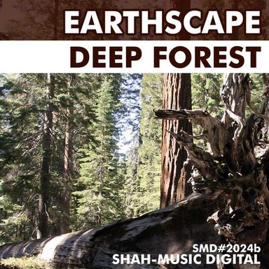 Deep Forest - Radio Edit