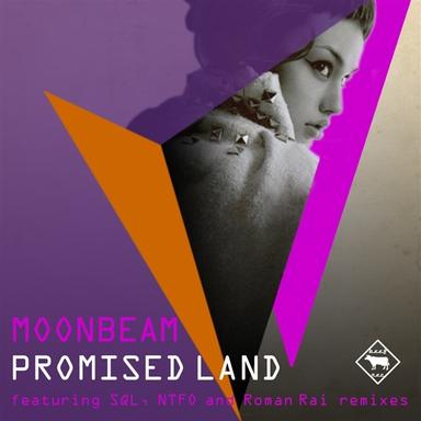 Promised Land - NTFO remix
