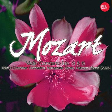 Violin Concerto No. 3 in G major, K. 216: I. Allegro