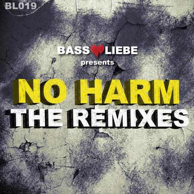 No Harm - Brian Brainstorm Remix