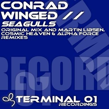 Seagulls - Cosmic Heaven Remix