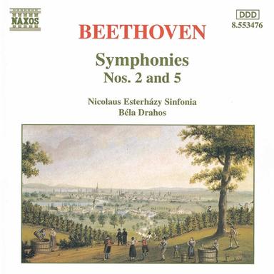 Symphony No. 2 in D Major, Op. 36: II. Larghetto