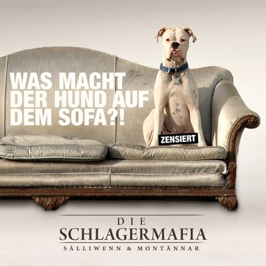 Was macht der Hund auf dem Sofa - Karaoke Version ohne Chöre