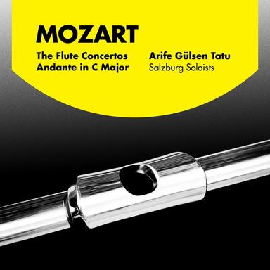 Concerto No. 2 in D Major for Flute and Orchestra, K. 314: I. Allegro aperto