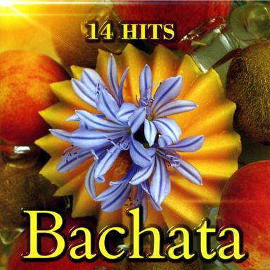 Bachata rosa