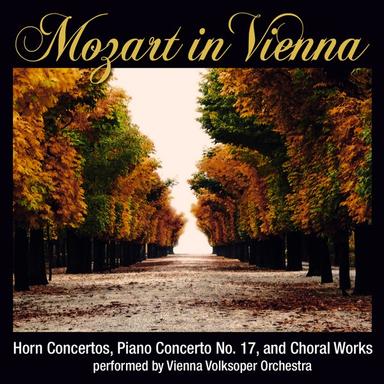 Concerto No. 1 in D Major for Horn and Orchestra, K. 412: II. Rondo: Allegro