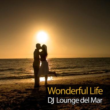 Wonderful Life - Sometimes it Hurts Mix