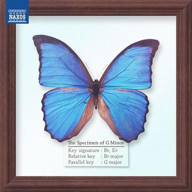 Symphony No. 40 In G Minor, K. 550 - I.