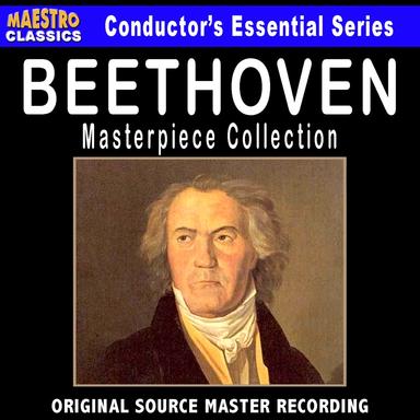 Symphony No. 5 in C Minor, Op. 67: I. Allegro con brio