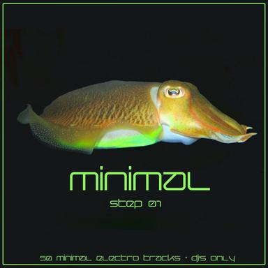 The What (Mini Mix ok)