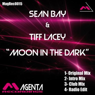 Moon In The Dark - Radio Edit