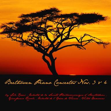 Piano Concerto No. 4 in G Major, Op. 58: II. Andante con moto