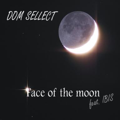 Face of the Moon - Extended