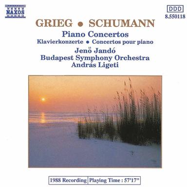 Piano Concerto in A Minor, Op. 16: II. Adagio
