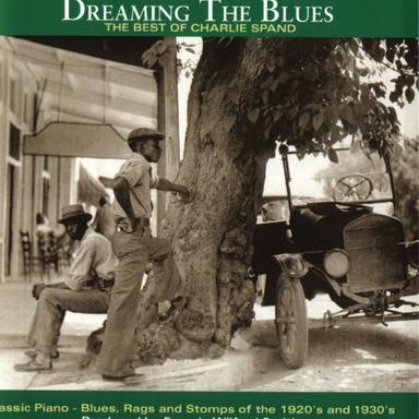 Hard Times Blues