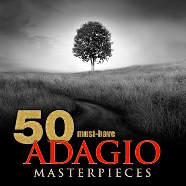 String Quintet in C Major, Op. 163, D. 956: II. Adagio (Excerpt)