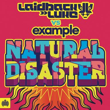 Natural Disaster (Andy C Remix)