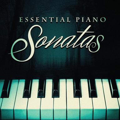 Piano Sonata in F Major, Op. 12: II. Andantino