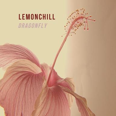 Dragonfly (Rauschwerk Remix)