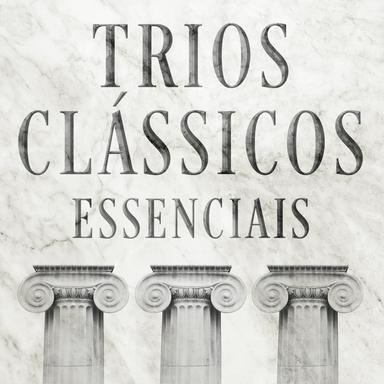 Piano Trio in A Minor, Op. 50: III. Finale: Allegro risoluto