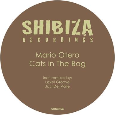 Cats in the Bag - Javi Del Valle Remix