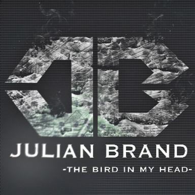 The Bird in My Head - Luix Spectrum Remix
